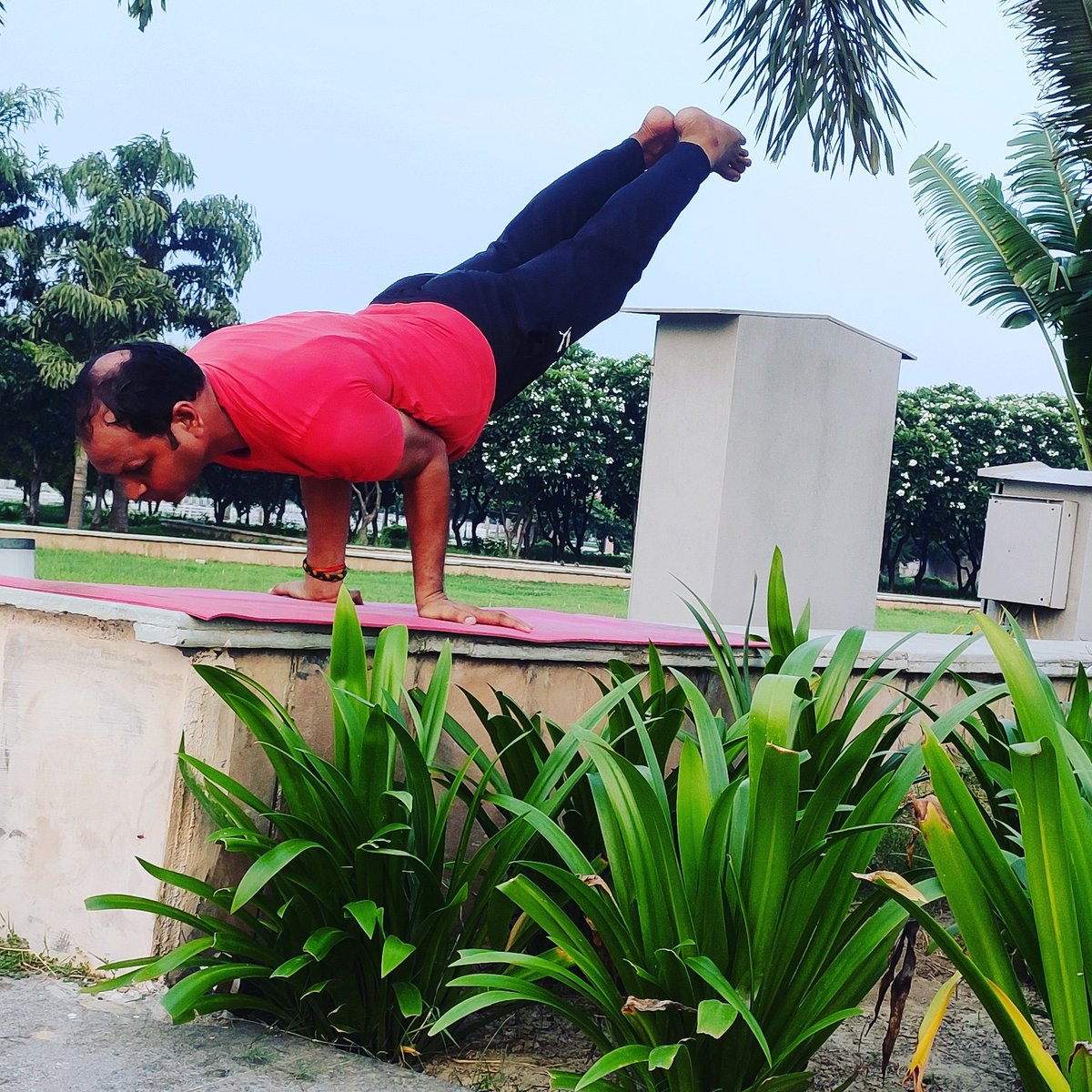 yogamukesh's tweet photo. नियमित योग प्राणायाम करें अपनी रोग प्रतिरोधक क्षमता को बढ़ाएं हमेशा स्वस्थ और निरोगी रहे। जय श्रीराम https://t.co/tBRdEcfmfs