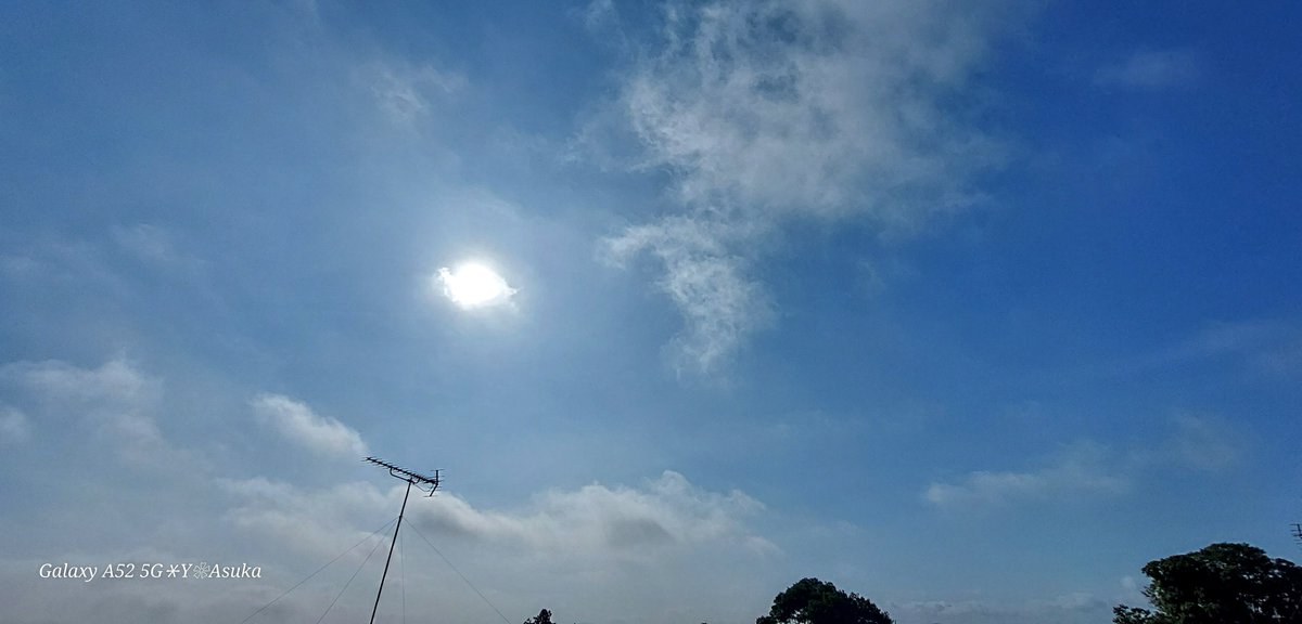 yumeasutw's tweet photo. #青空 にお日様ギラギラ日差しが強い火曜日の朝🌤️✨
散水後の #ホウセンカ は元気一杯💗
予想最高/最低気温🌡️36℃/22℃
晴れ☀️
お洗濯日和👕👖午後は南風が吹き猛烈な暑さになりそうです🌬️😵💦
#鳳仙花 #雫 #庭花 #花 #Flower
#空の名前
#天気の図鑑 #雲の超図鑑 #巻雲 #積雲
#a2023 #a0725 #a202307 https://t.co/wemYF5fEI4