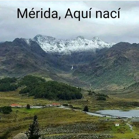 OphirSusana's tweet photo. #OrgullosamenteAndina
#OrgullosamenteGocha
#OrgullosamenteMerideña https://t.co/lpXp0zBFlA