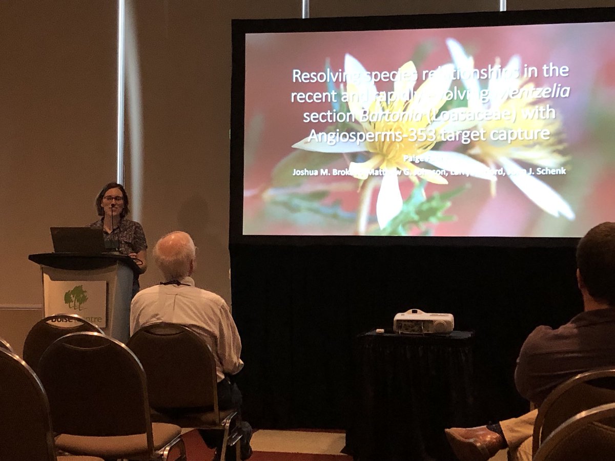 johnjschenk's tweet photo. D can the angiosperms353 bait set resolve rapid and recently diverged classes? ⁦@botanistpaige⁩ found it can in Mentzelia. Killed this talk! https://t.co/1B5ZPRM0Fw
