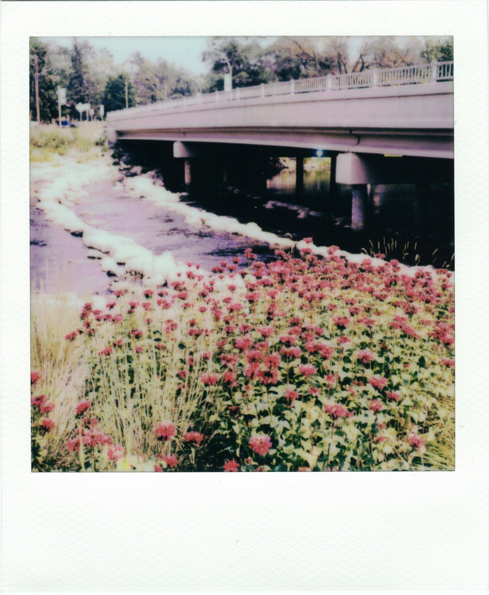 Retook the SX-70 shot in similar, albeit warmer, conditions after a cleaning of the sensor and now it doesn't blow out the highlights. Still struggles with the super bright bits in the scene which is a given. But it's much better now!