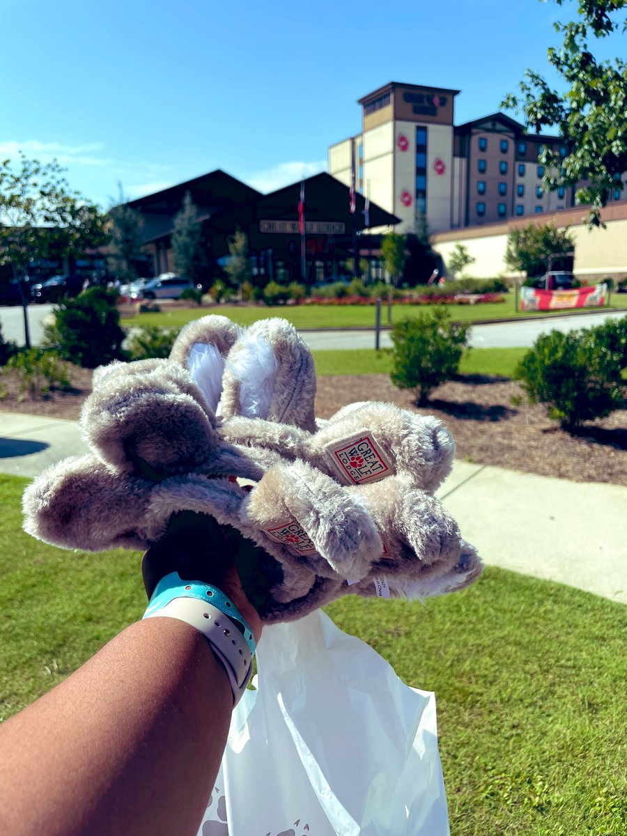 Andrea Powell tweet media