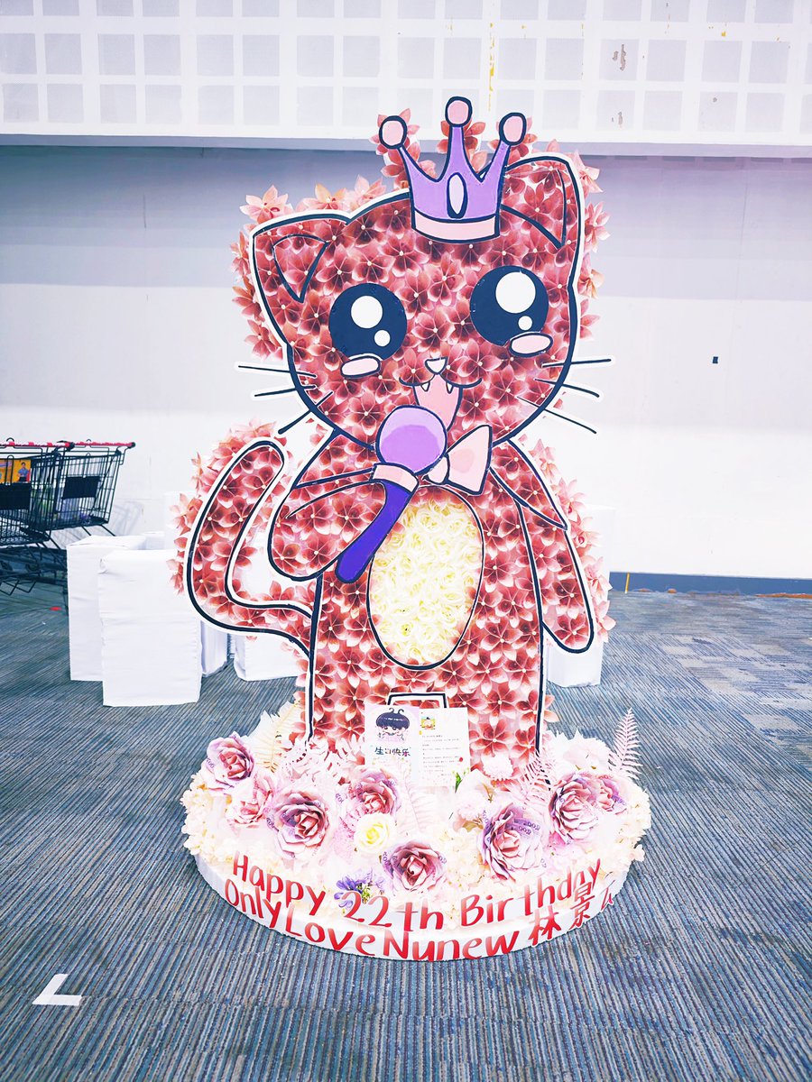 Amy83518562's tweet photo. This is the second birthday to accompany your baby. I hope your side is filled with sunshine and happiness. A few moms and I have made a cat for you. I hope you can always be a happy child under the protection of a cat knight. Happy birthday生日快乐🎂🎂
 #HBD22ndNuNew https://t.co/41gOztaawG