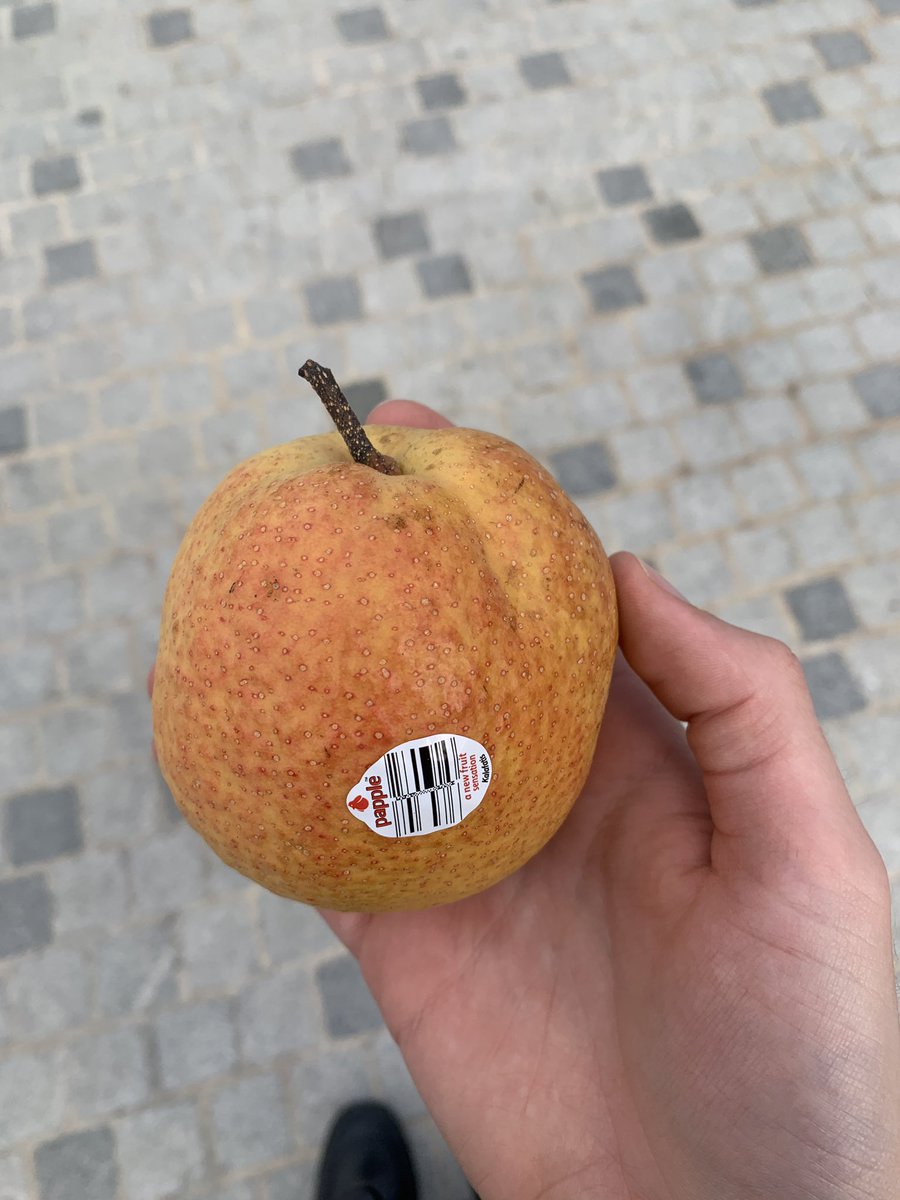 I bought a papple (“the new fruit sensation”) today. I think it’s cool they’re releasing completely new kinds of fruit the way Ben and Jerry’s drop new ice cream flavours https://t.co/UuASWnaBJL