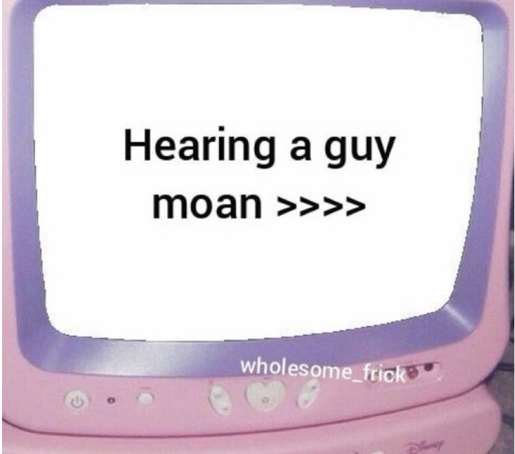 not cute & kinky memes (@cravedcuddle) on Twitter photo 