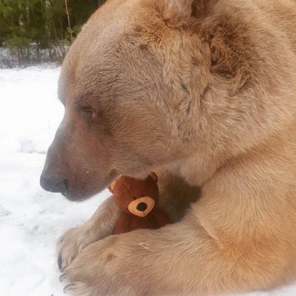 tyler02020202's tweet photo. in two months i’ll be sipping a pumpkin spice cold foam latte and listening to folklore with the windows down as the leaves change colors https://t.co/z7pAPXwMn3