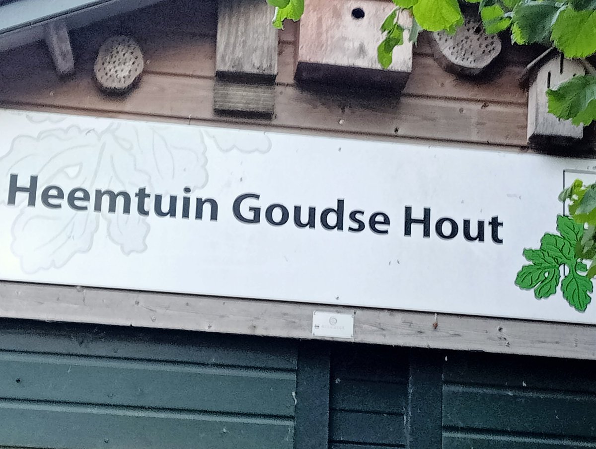 Wandelen in het groene hart, deze keer Gouda, Heemtuin Goude Hart, met VrouwenBusyness women. Een mooie manier om na te denken over de groei van je bedrijf. Een jungle om de hoek.  Inspirerende vrouwen.