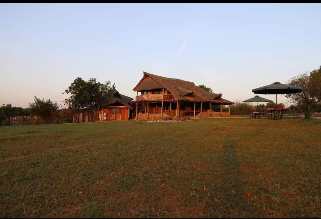 Orngatuny Mara King Camp really is a hidden gem tucked in the forest , easy to access by road and perfectly for Maasai Mara game drive. 
:
:
DM for Bookings |Enquries
📩info@orngatunymarakingcamp.com

#karibuorngatuny #wilderness  #naturelovers #travelblogger #wild #adventure