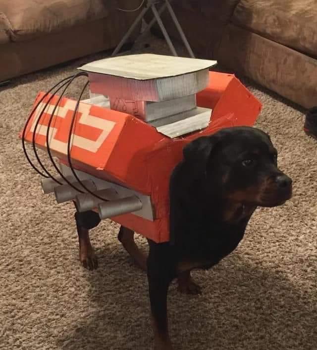 hoesayyy 🤟🏼💯 tweet media