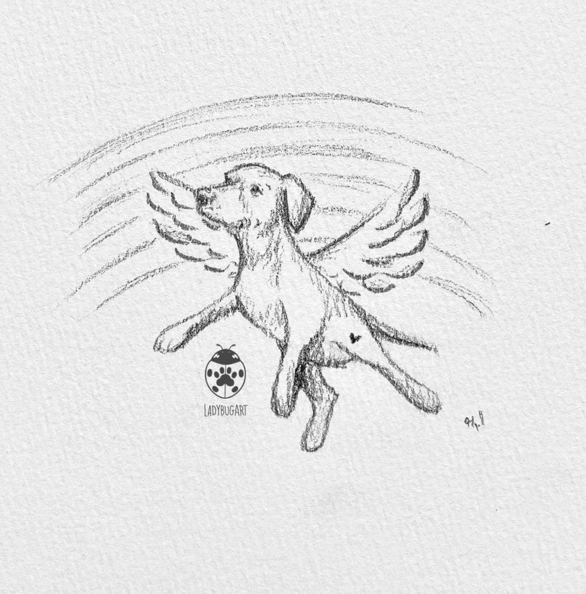 ClassicMovieKat's tweet photo. @Dalbodog Fly free sweet boy, Dad will see you at the Rainbow Bridge. https://t.co/3d1xCb6FvV