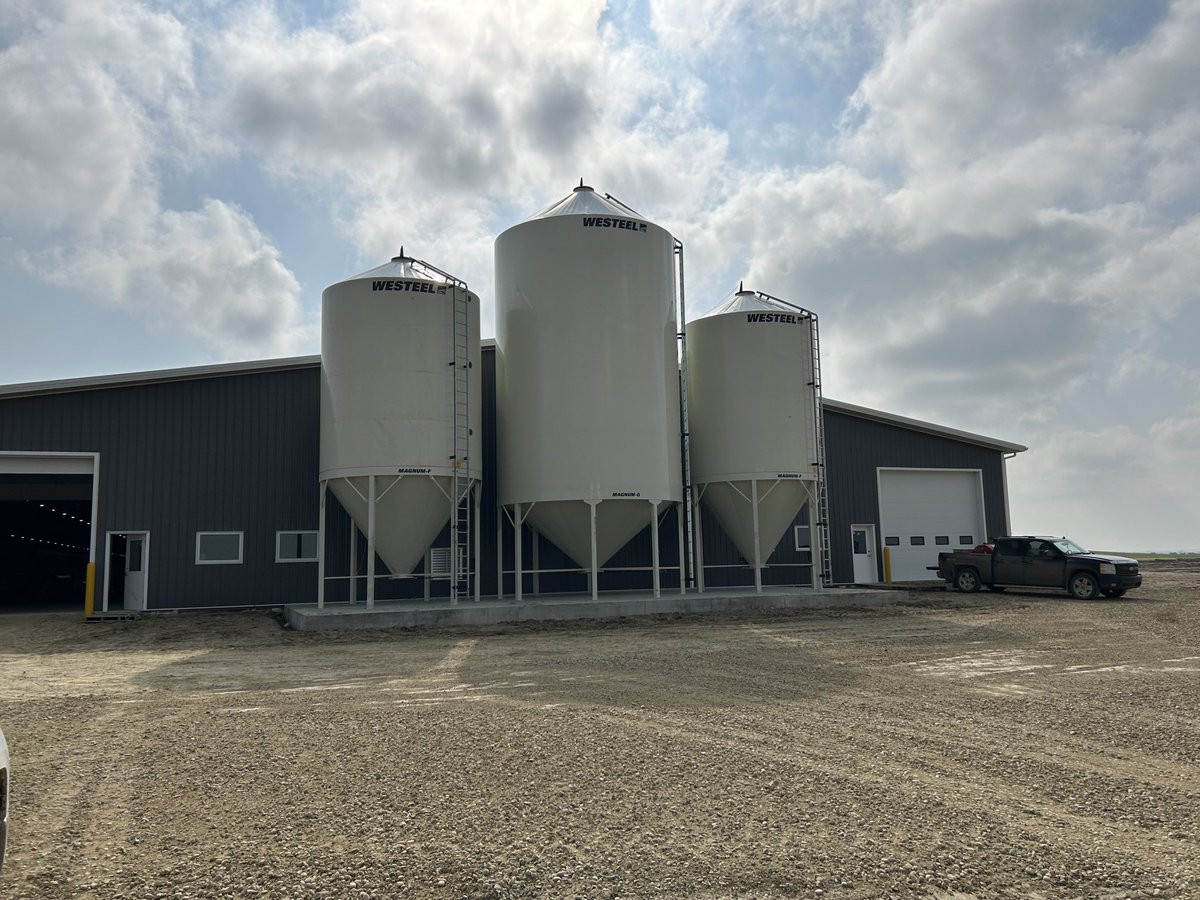 RonYCoop1's tweet photo. Great new yards require only the best storage! ⁦@CoopAgroWetask⁩ @AgGrowthIntl⁩ is front and centre and a key partner in this progressive team of producers! ⁦@BenjaminKrijger⁩ @DanielKrijger #zealandfarms #westeel #corrgrain https://t.co/vkPl0iFtf0