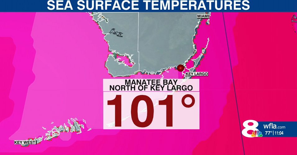 MundoEConflicto's tweet photo. ⚡ #AHORA | La temperatura del agua en las costas de Florida alcanzaron una máxima de 38°C. De confirmarse sería un récord mundial. https://t.co/OMwdF5XoB6