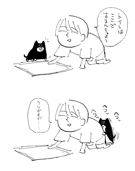 犬2日記 