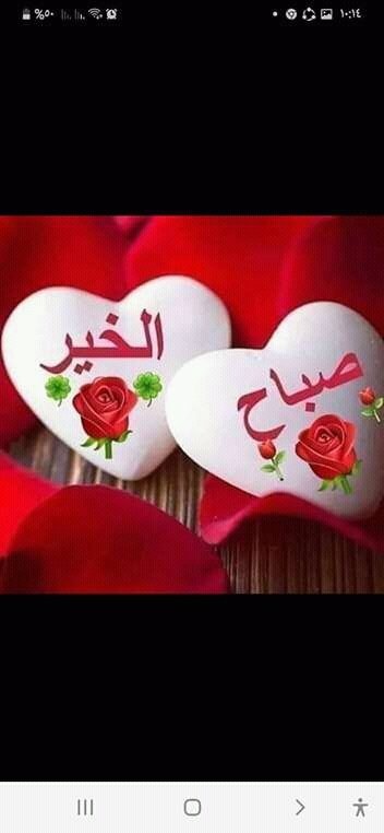 صباحك صبح ما تصبح به قبلك أحد 
صباحك صبح يحفظك ربي الواحد الأحد

 صباحك ورده زرعها من يحبك للابد
 صباحك شهد وتباشير وسعاده ❤️