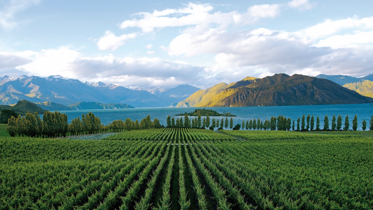 Congratulations to the four New Zealand vineyards featured on the @wbestvineyards 2023 list: Central Otago's Rippon came in at #11, Craggy Range (#58), Man O'War (#77) and Kumeu River (#81). More here: bit.ly/44RB2Z7 📸: Rippon Vineyard by Andy Katz #nzwine