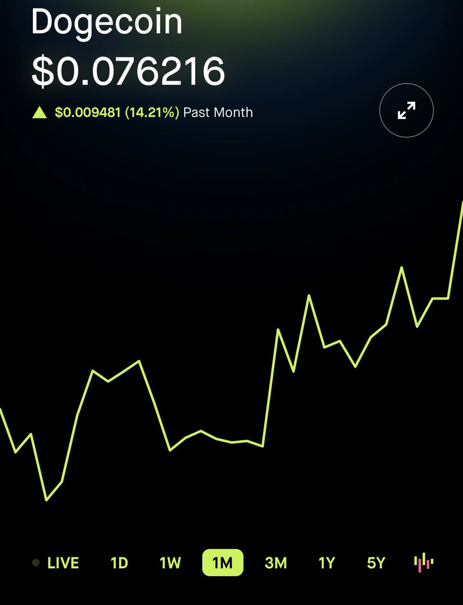 all I see is doges and untapped potential