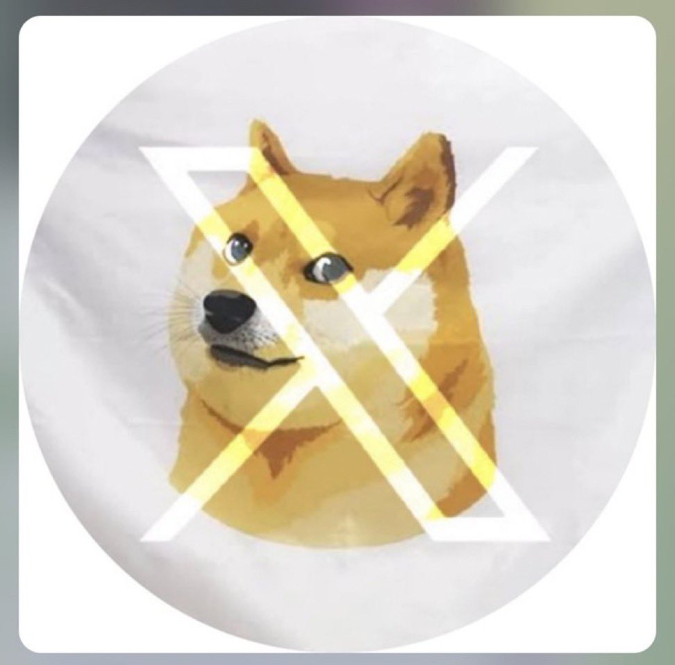 Is #DOGE in your crystal ball?