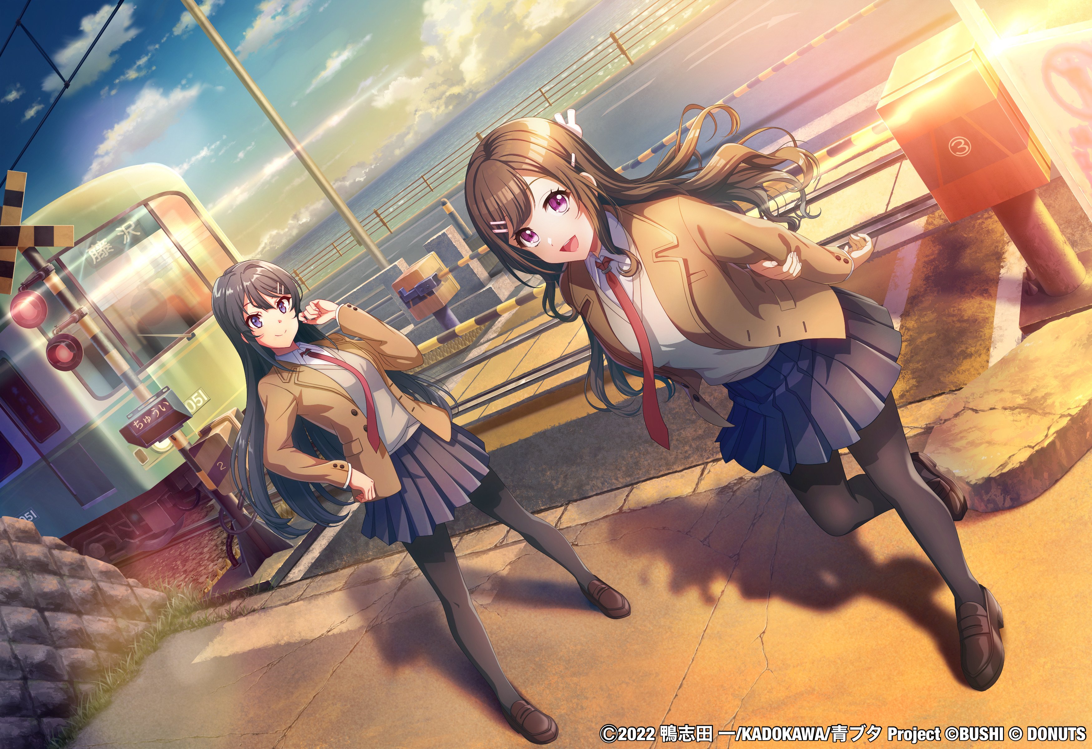 【即日発送】　青ブタ　花楓　8チョイス 即日発送】 青ブタ 花楓 8チョイス 即日発送】 青ブタ 花楓 8