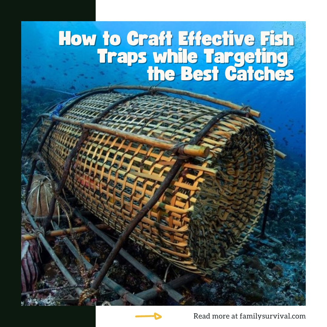 Fish traps are efficient and passive methods for catching fish, allowing you to focus on other survival tasks while the trap works its magic.

Read more in the comment below 👇

#FishTraps #FishingSkills #OutdoorSurvival #SurvivalSkills #OutdoorFishing #FishingTips #Fisherman