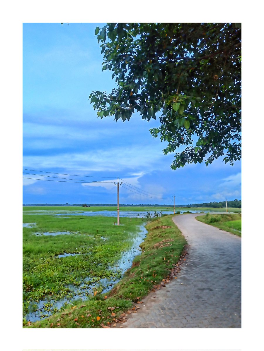 Prachuyya's tweet photo. Good Morning 🤍
#assam #mysassam #northeastindia #whereisnortheast #mypixeldiary #shutterhubindia #Twitterindia #guwahati https://t.co/nCejOEgG5x