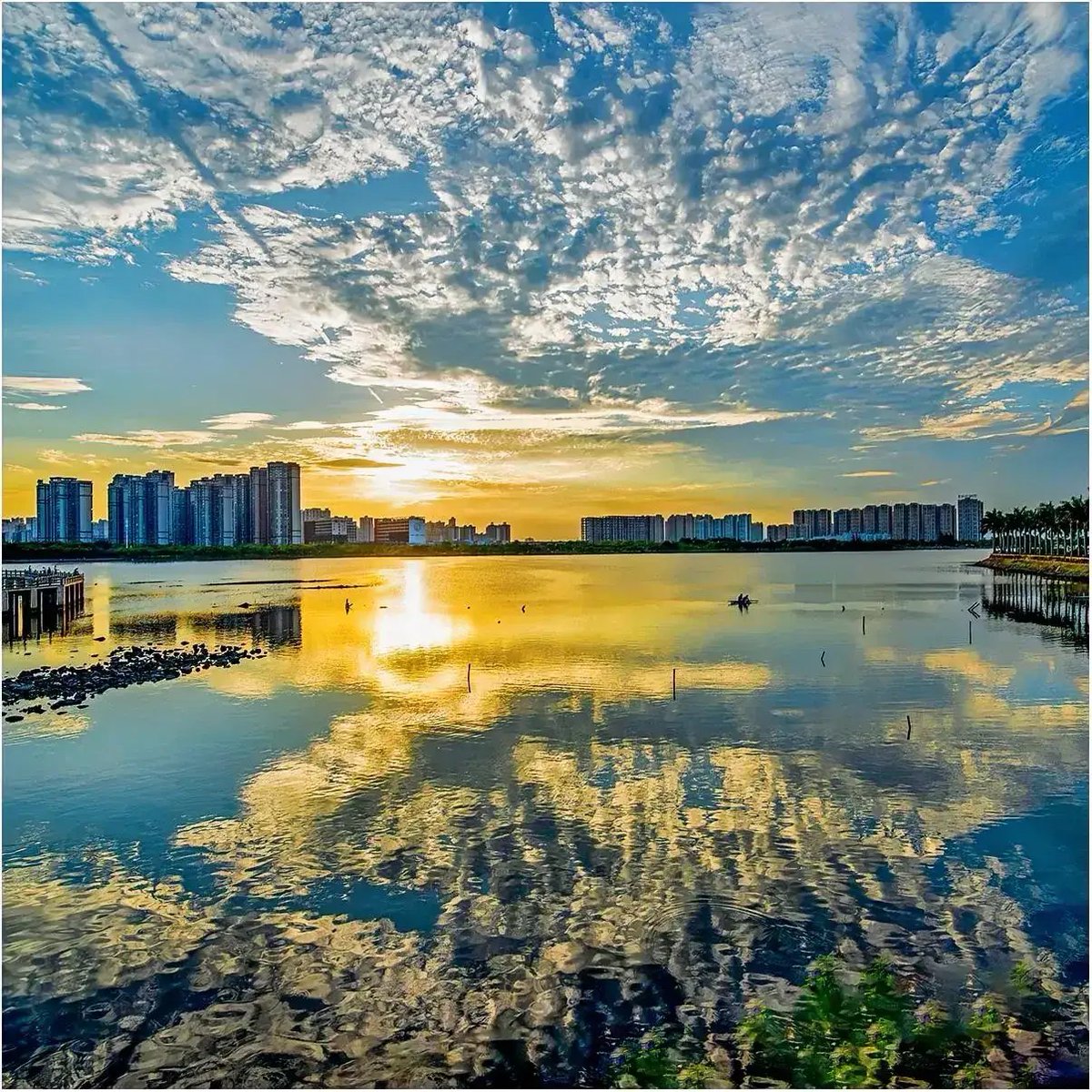 水光接天斜阳近，一片花衣映半湖。
📍广东湛江滨湖公园