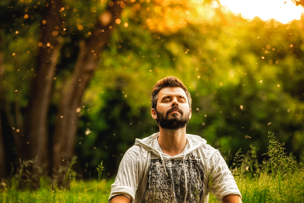 SIF_Yoga's tweet photo. A hit song may be a hit for a month, then it is finished. People grow tired of it, and it begins to drive them crazy. The transcendental sound, however, acts in the opposite way.

Know more about the transcendental sound:
https://t.co/fCrerN5vV4 https://t.co/ijdggHXTBi