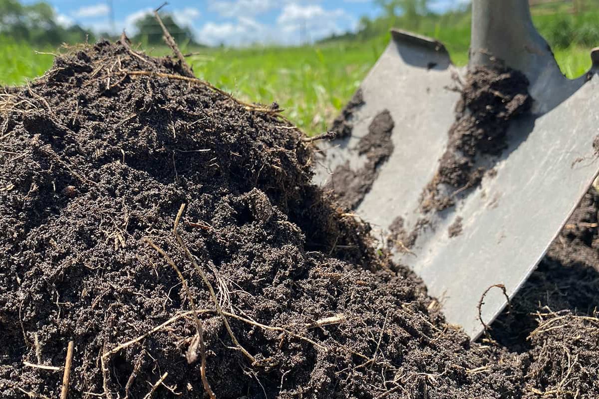 Boosting crop yield and nourishing the soil go hand in hand! 
Compost is nature's gold - rich in nutrients, it enhances soil structure, supports microbial activity, and conserves water.
#SustainableFarming #CompostMatters #HealthySoil #GreenAgriculture