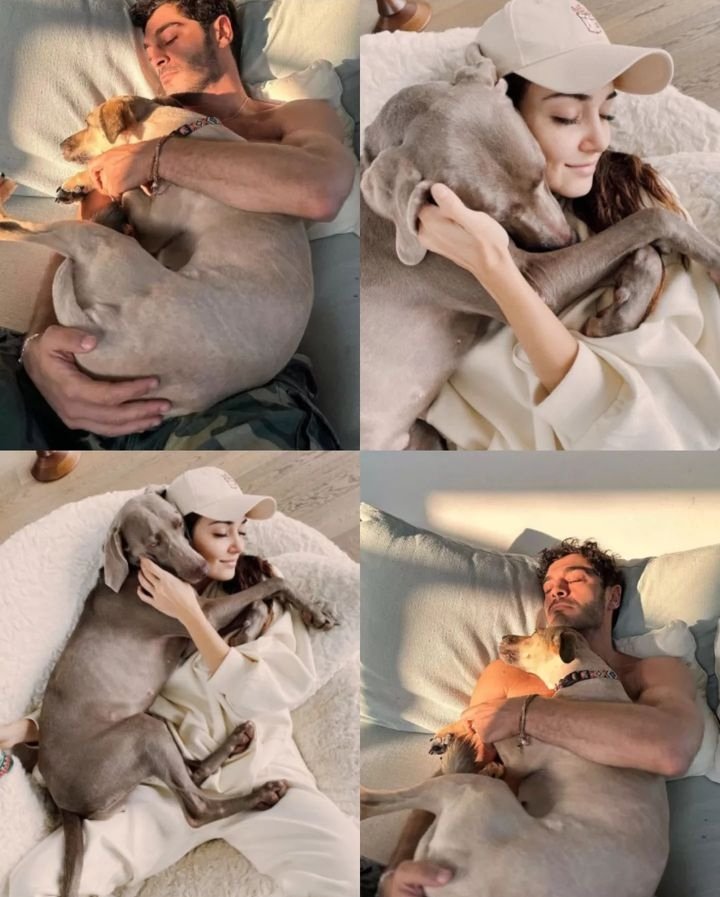 ricksharaja's tweet photo. Both love dogs - just saying
Love you guys - 
#BurakDeniz
#HandeErcel https://t.co/njUkLp4WP0