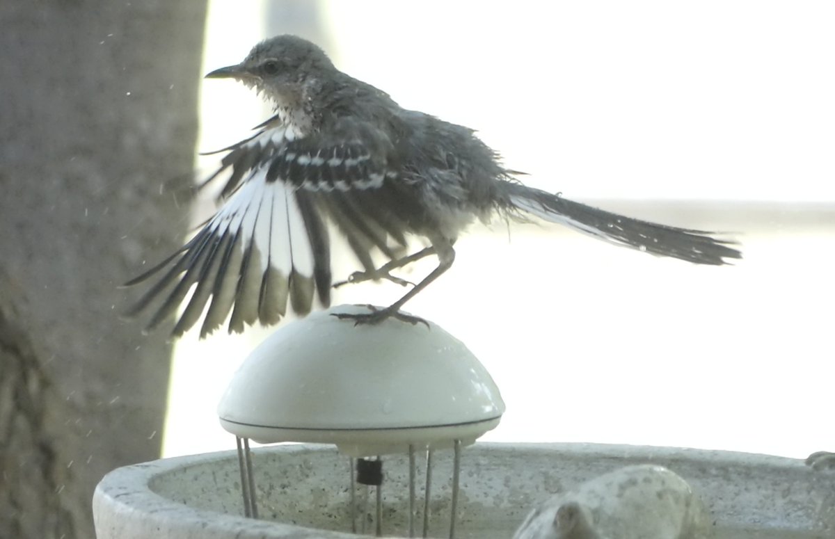 Mark Nau (@mark_nau) on Twitter photo 