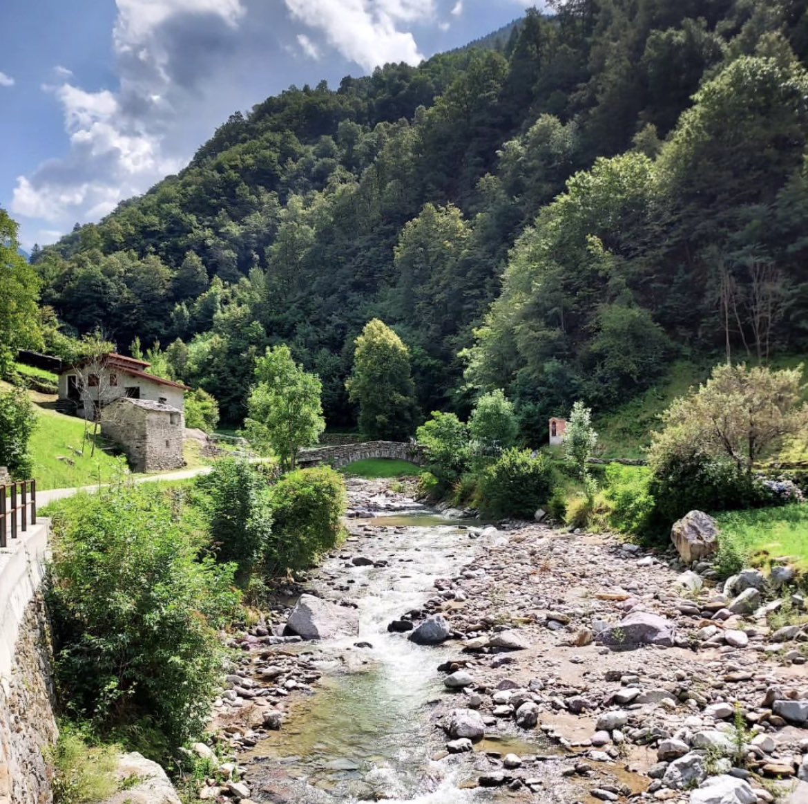 AnnaDi_Mario's tweet photo. Air : 19 C
Appetite : 100 %
Pizzoccheri : 1 km to go 😋
#Lombardia #Valvarrone 💚 https://t.co/fg8T3hIAuv