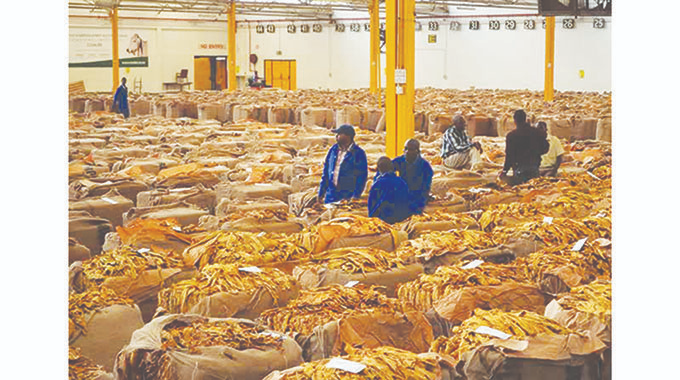 Rovambirajay's tweet photo. The 2nd republic continues to deliver and surpass records, its brick upon brick, trusting the process. As of 24.7.23 farmers had delivered over 291mln kgs of tobacco worth US$882mln compared to 2022's US$609mln representing a 45% increase💰! #EDWorks #VotED #NDS1 #VoteZNPF #EDpfe https://t.co/TM0AGbHrFG
