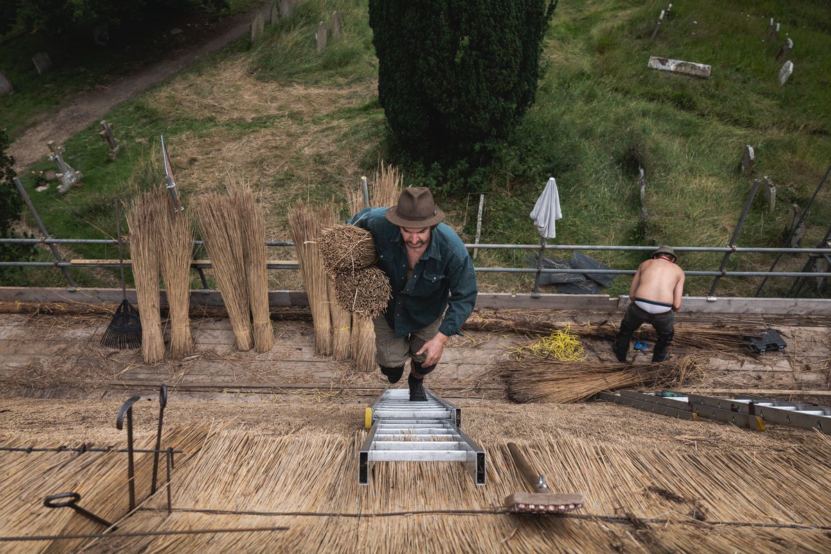 I love this shot by the masterful <a href="/sibuckphoto/">SB</a> for it captures the dynamism of thatching.
The reed is thrown from ground to scaffold, then carried up to working level.
After many years, one's balance is sure enough to walk up the ladder hands-free so bundles can be carried up.