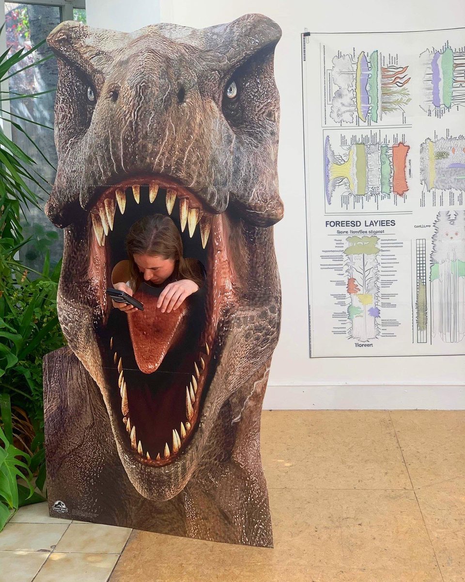 Rebecca Moss tweet media