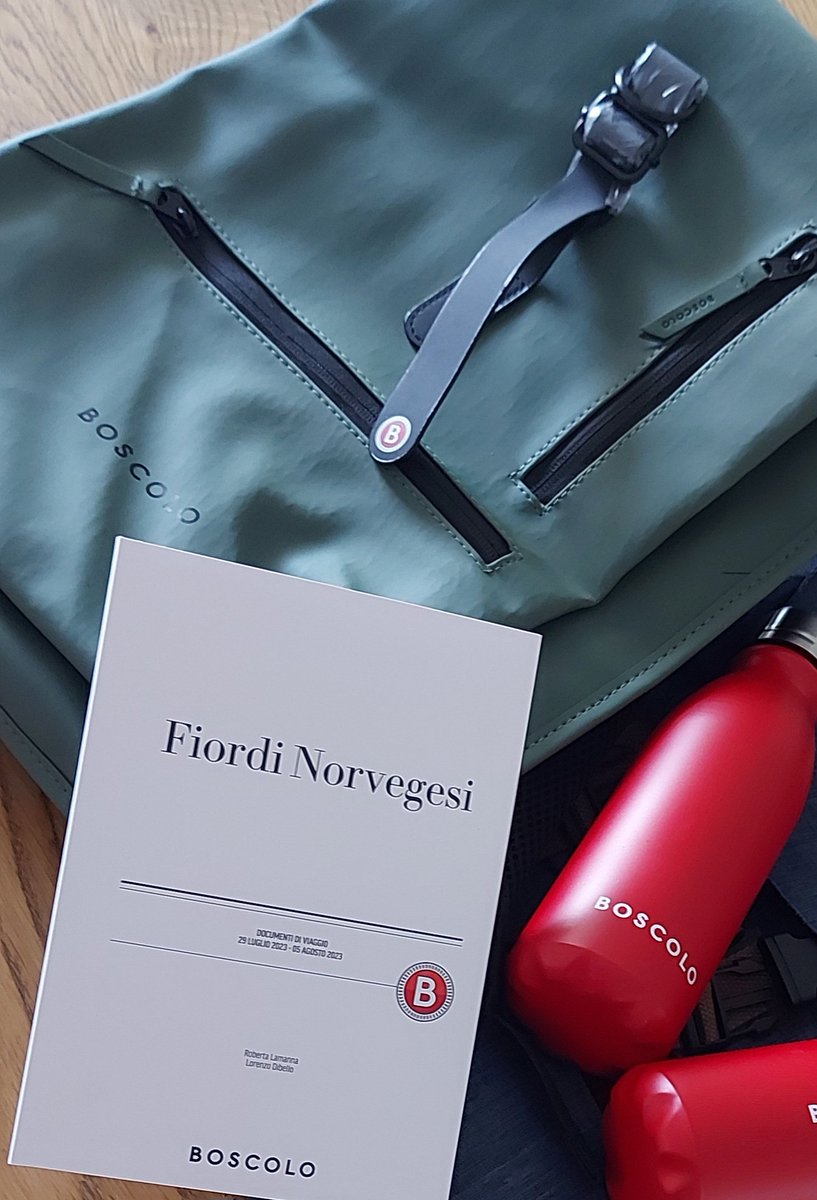 Mancano solo 4 giorni!! 
Solo 4! 🥰

#fiordinorvegesi
#holidays 
#summer2023