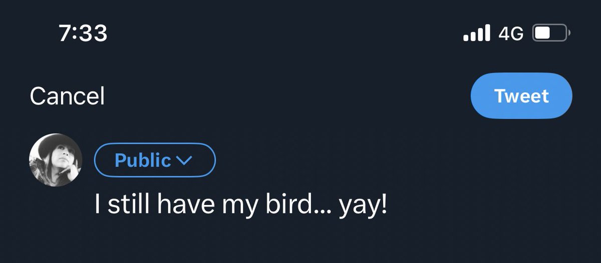 I still have my bird... yay!

And I can still Tweet ...