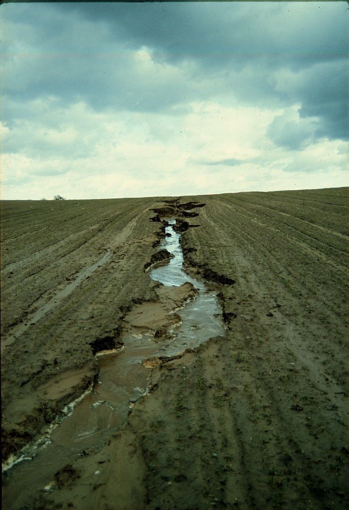 soilstorm's tweet image. #ModernRobotics need to be used in #Agriculture in development of the #organiccontent of above 12% in the #Soil.
The loss in organic content in Soil is undoubtedly the only reason for the weak immune system in our bodies.
#SaveSoilMovement #SaveSoil
@SadhguruJV @cpsavesoil