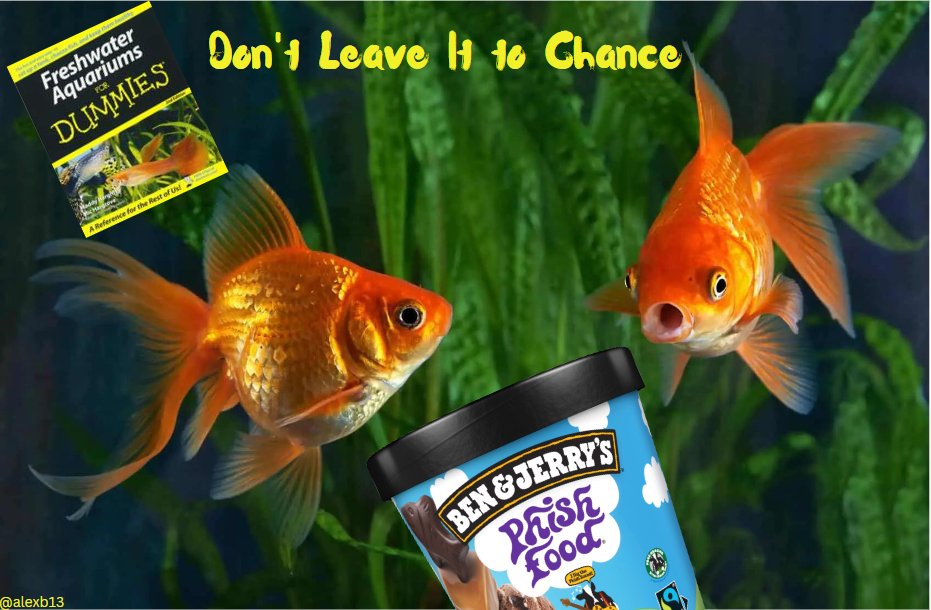 alexb13's tweet image. #FishFood  @OneMinuteBriefs