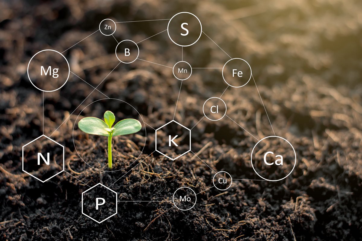 Precision Agriculture🌾, 📲AI, and 💧Water Efficiency. What is the Future of Farming? Learn more in this article lnkd.in/g_4FpZgr

  #IoT #AI #futurefarming #PrecisionAgriculture #waterefficiency