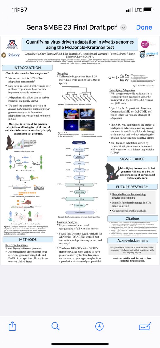 They said I couldn’t leave poster jail until I could perfectly recite the workflow of the ABC-MK test 😰⛓️🚨 JK, I had a great time presenting my poster tonight at #SMBE23 Thank you to everyone who stopped by! 🦇 🦠 🧬