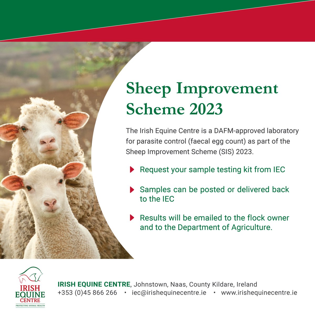 IrelandEquine's tweet image. #sheepimprovementscheme #SIS2023 #sheep #farm #farming