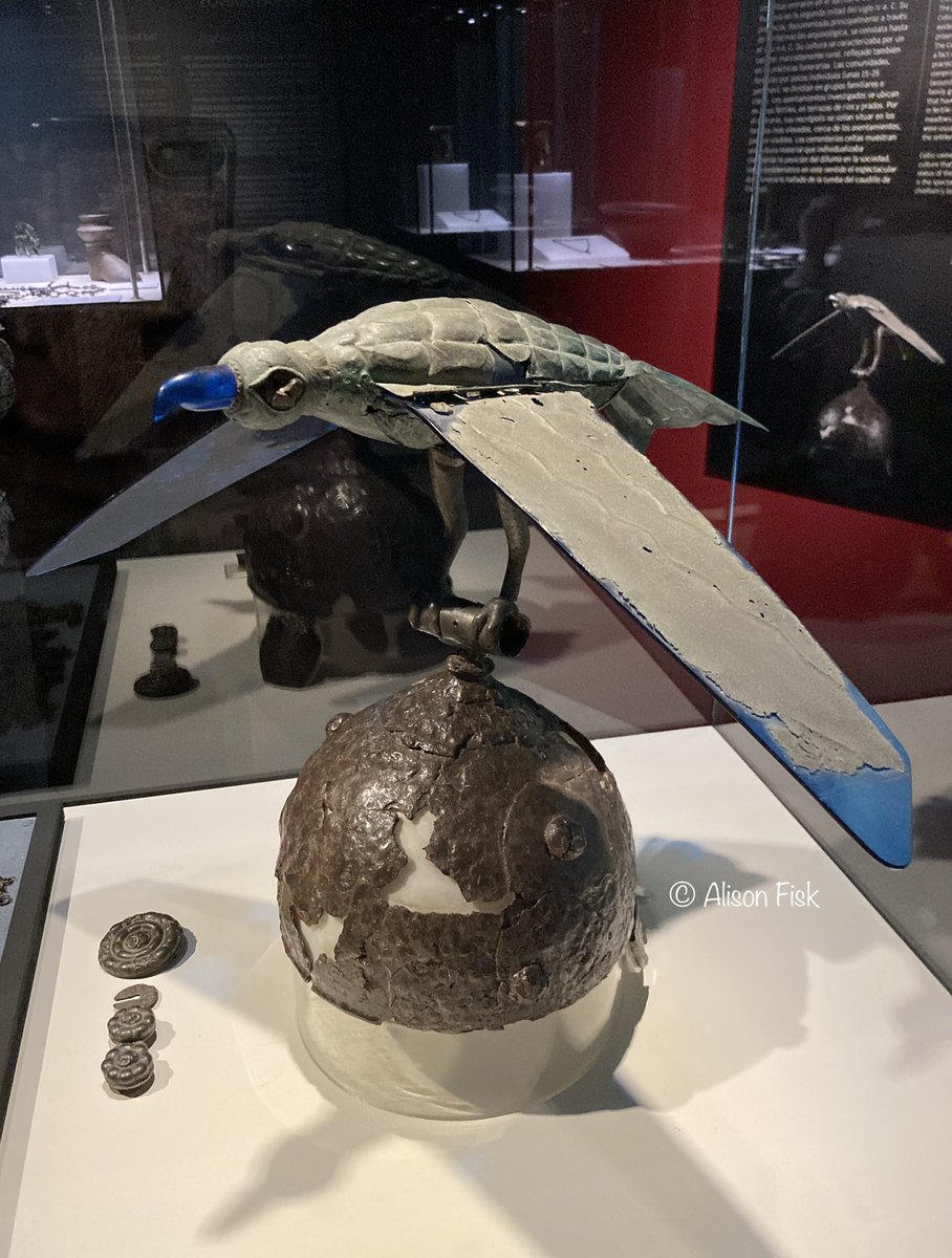 AlisonFisk's tweet photo. Celtic warrior’s bird helmet, 3rd century BC.

A remarkable iron helmet crowned by a bronze bird of prey with hinged wings which flapped when the wearer moved. Found amongst a warrior chieftain’s grave goods at Ciumești, Romania, in 1961. 📷 my own

#Archaeology https://t.co/2igEJXCPs5