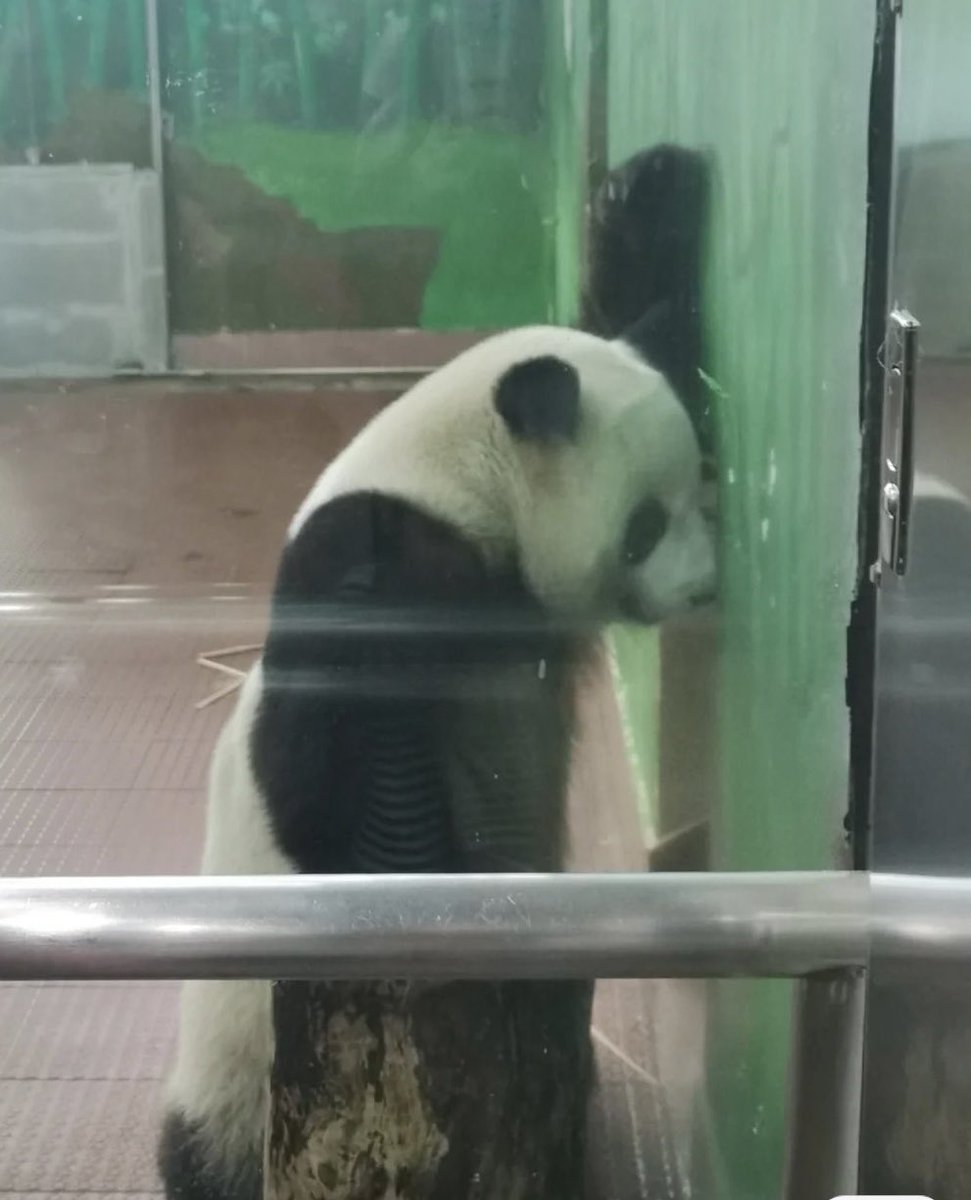 没事，哭一个月就好了。