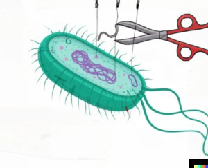 AcademicTasks.Solutions (@academic_tasks) on Twitter photo If you're cloning bacteria, check out this service from a fellow academic (on our new platform to help academics make more money ๐ฐ) providing tips and tricks on how to do it well...๐
#Academic_Tasks <a href="/PhDVoice/">PhD Voice - Independently Run</a> <a href="/PostdocVoice/">PostdocVoice</a> If you're cloning bacteria, check out this service from a fellow academic (on our new platform to help academics make more money ๐ฐ) providing tips and tricks on how to do it well...๐
#Academic_Tasks <a href="/PhDVoice/">PhD Voice - Independently Run</a> <a href="/PostdocVoice/">PostdocVoice</a>