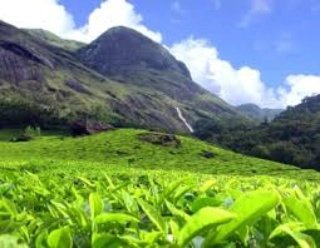 ExaltTravels's tweet photo. Unleash the Aroma at Tea Museum, #Munnar!
Dive into the captivating world of tea cultivation and indulge in the flavors of history.
#teamuseummunnar #monsoon #trekking #picnics #photography #munnar #Kerala #keralaparadise #keralatours #keralatravel #discoverkerala https://t.co/StVqgAnaeQ