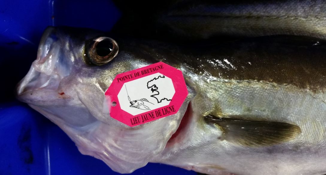 Pforme Petite Pêche tweet media