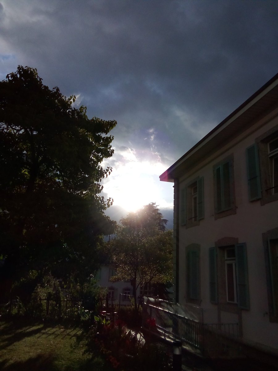 stalone008's tweet photo. Buongiorno https://t.co/JeXuAYbDQd