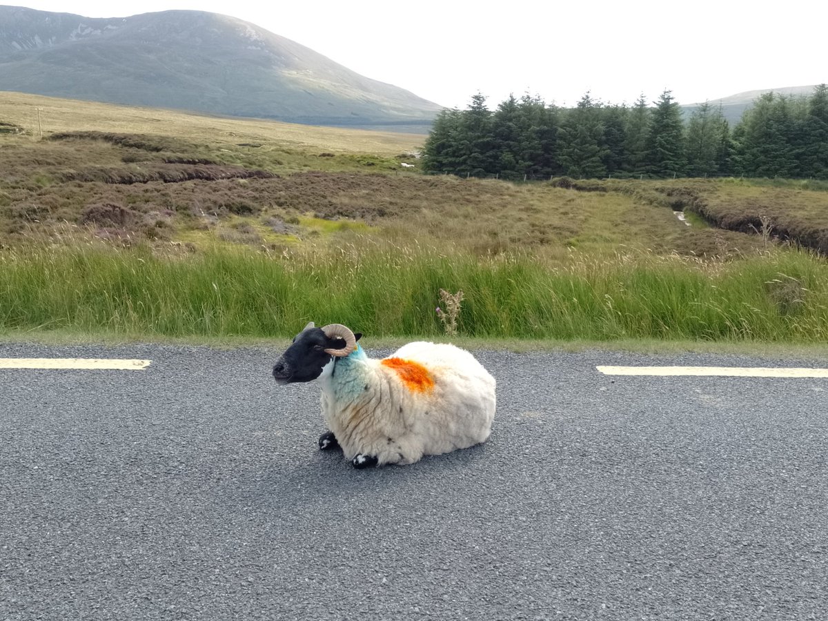 Donna Jennings tweet media