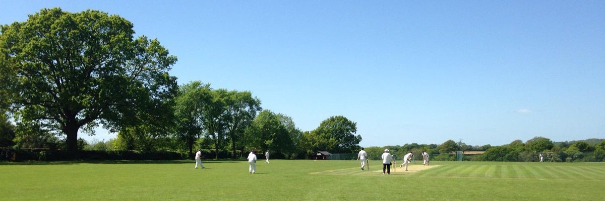 WG RumblePants tweet media