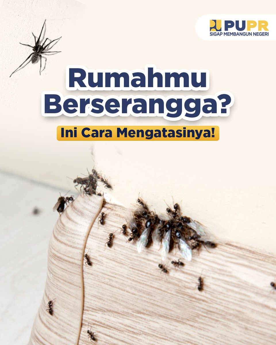 KemenPU's tweet photo. #SahabatPUPR pasti nggak nyaman banget ya kalau ada banyak serangga di rumah kita. Apalagi kalau sampai membuat sarang di dalam rumah.

Penasaran bagaimana cara mengatasinya? 

#SigapMembangunNegeri https://t.co/QkbRpMdPl1