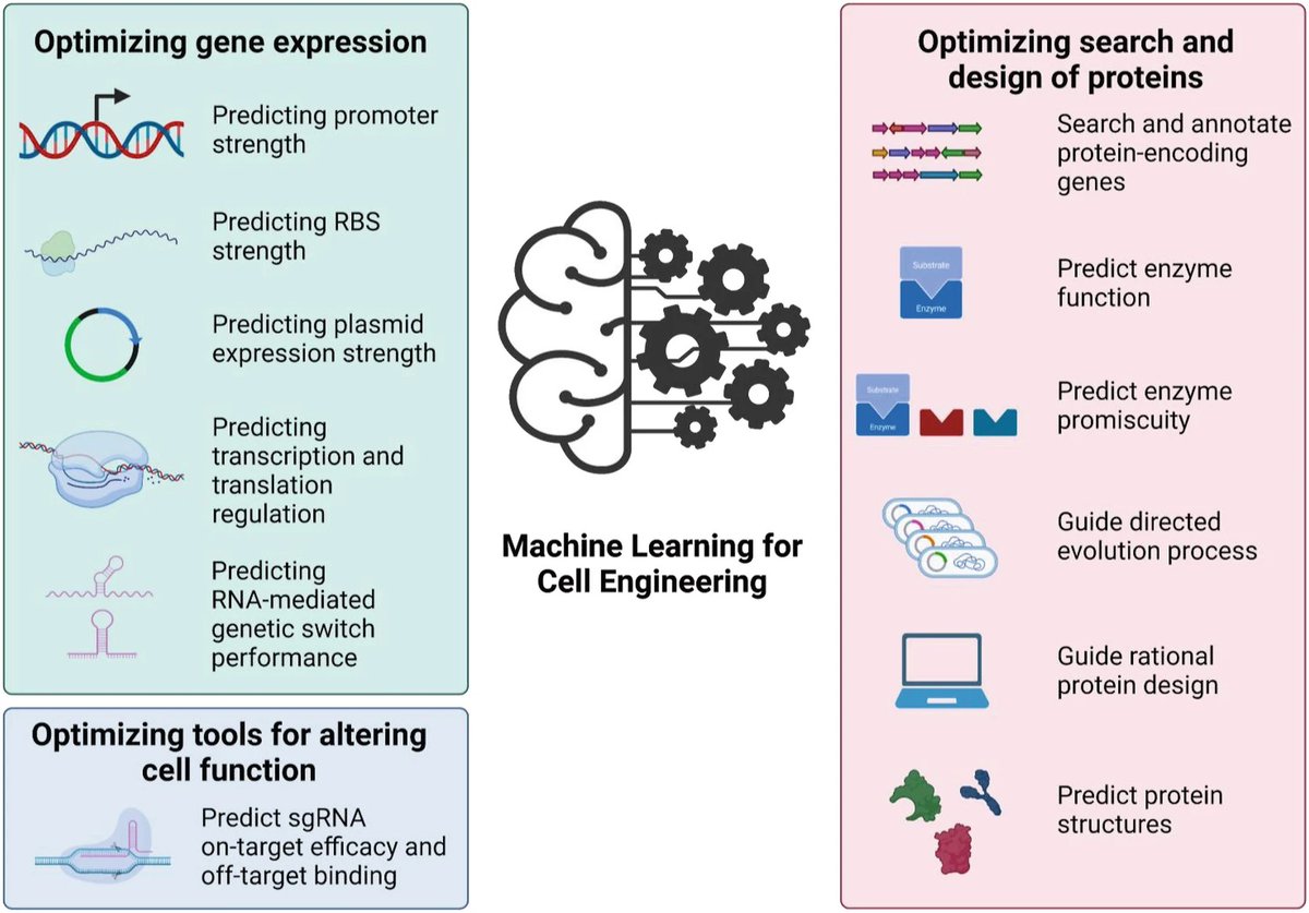 Even without detailed knowledge of their underlying mechanisms, #machinelearning can provide data-driven insights into living systems—promising to increase the efficiency of #syntheticbiology research 🙌

Read more about machine learning in #synbio here: link.springer.com/protocol/10.10…